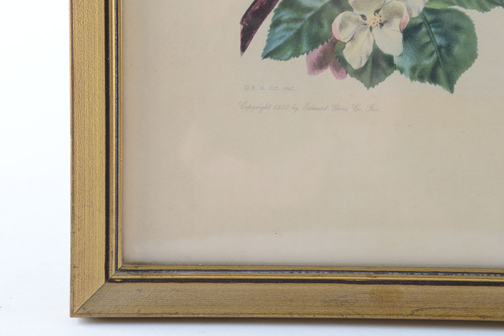 James Gordon Irving Bird Prints c. 1950