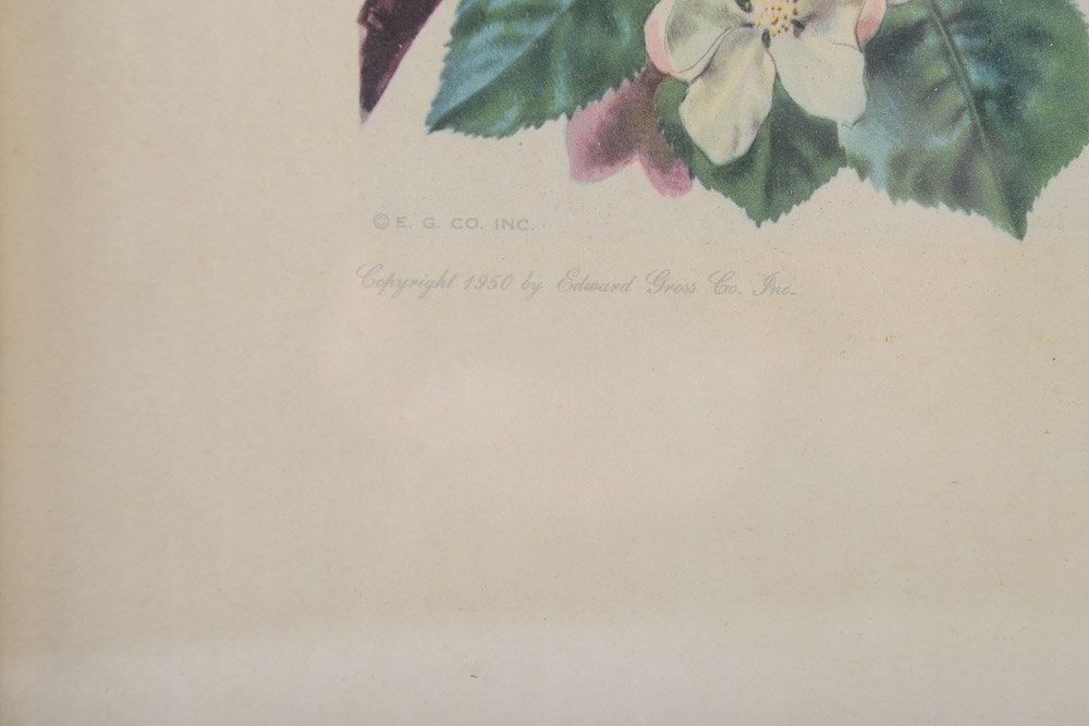 James Gordon Irving Bird Prints c. 1950