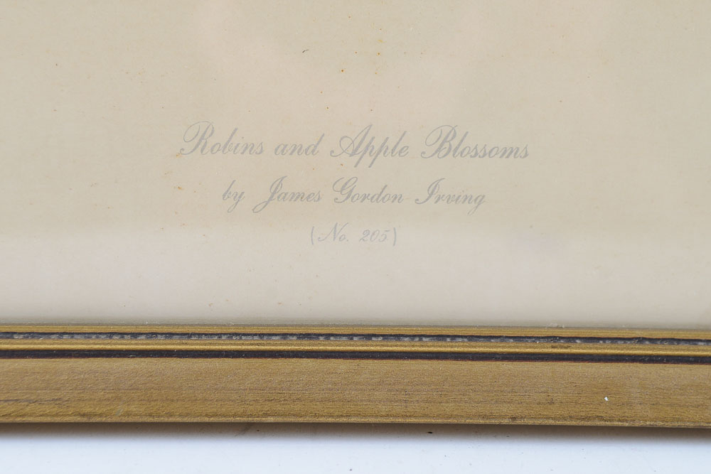 James Gordon Irving Bird Prints c. 1950