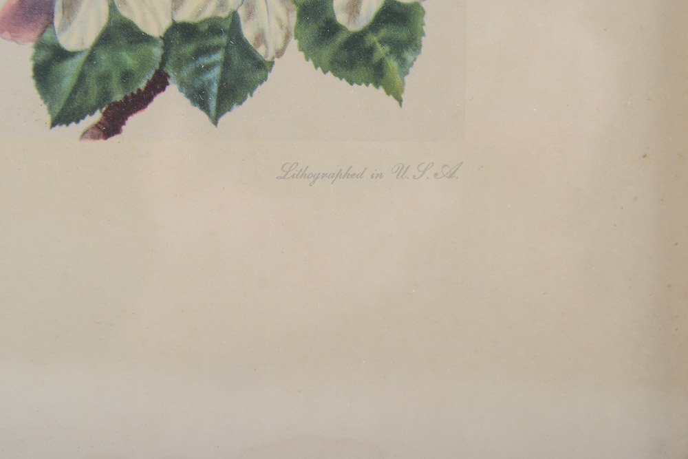 James Gordon Irving Bird Prints c. 1950