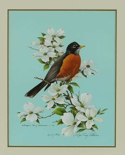 Roger Tory Peterson Signed LE Lithography Bird Print