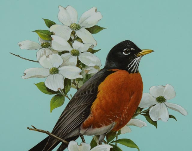 Roger Tory Peterson Signed LE Lithography Bird Print