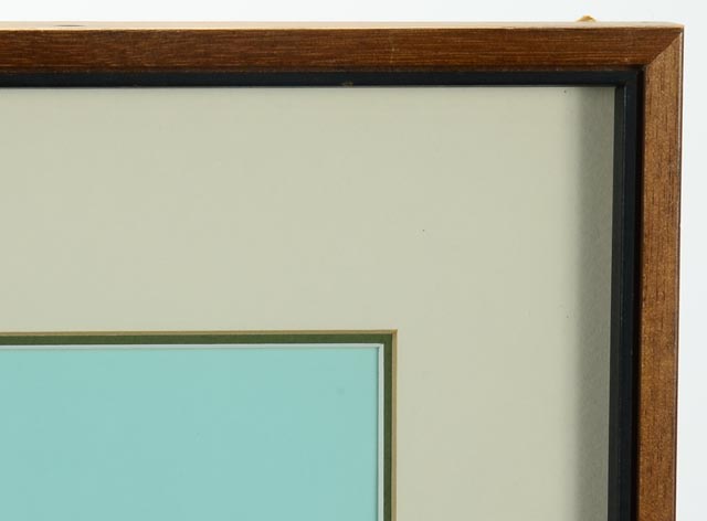 Roger Tory Peterson Signed LE Lithography Bird Print