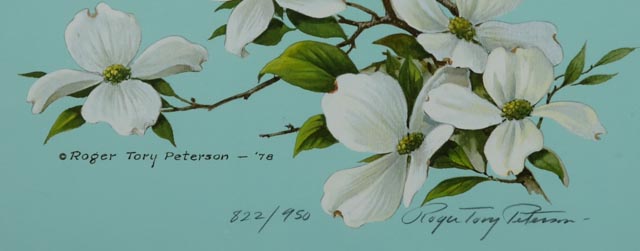 Roger Tory Peterson Signed LE Lithography Bird Print