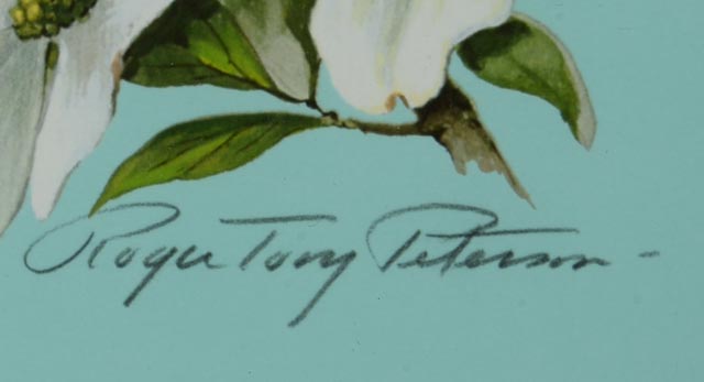 Roger Tory Peterson Signed LE Lithography Bird Print