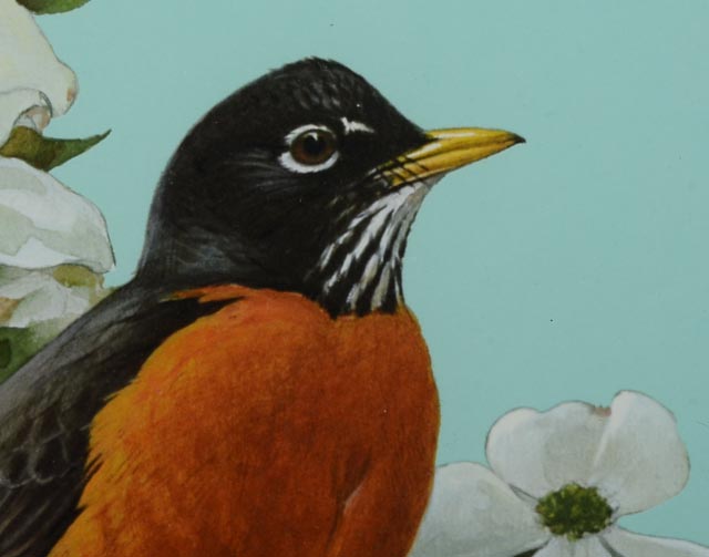 Roger Tory Peterson Signed LE Lithography Bird Print