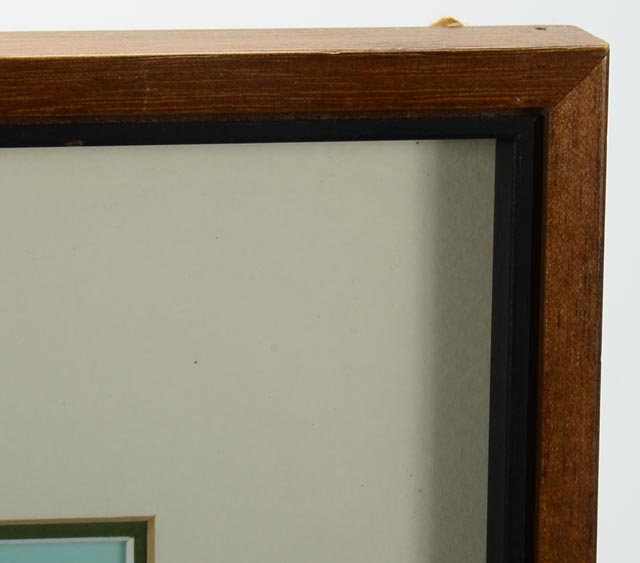 Roger Tory Peterson Signed LE Lithography Bird Print