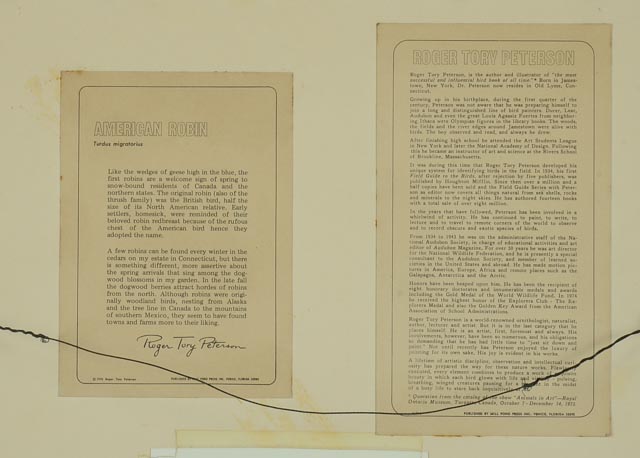 Roger Tory Peterson Signed LE Lithography Bird Print