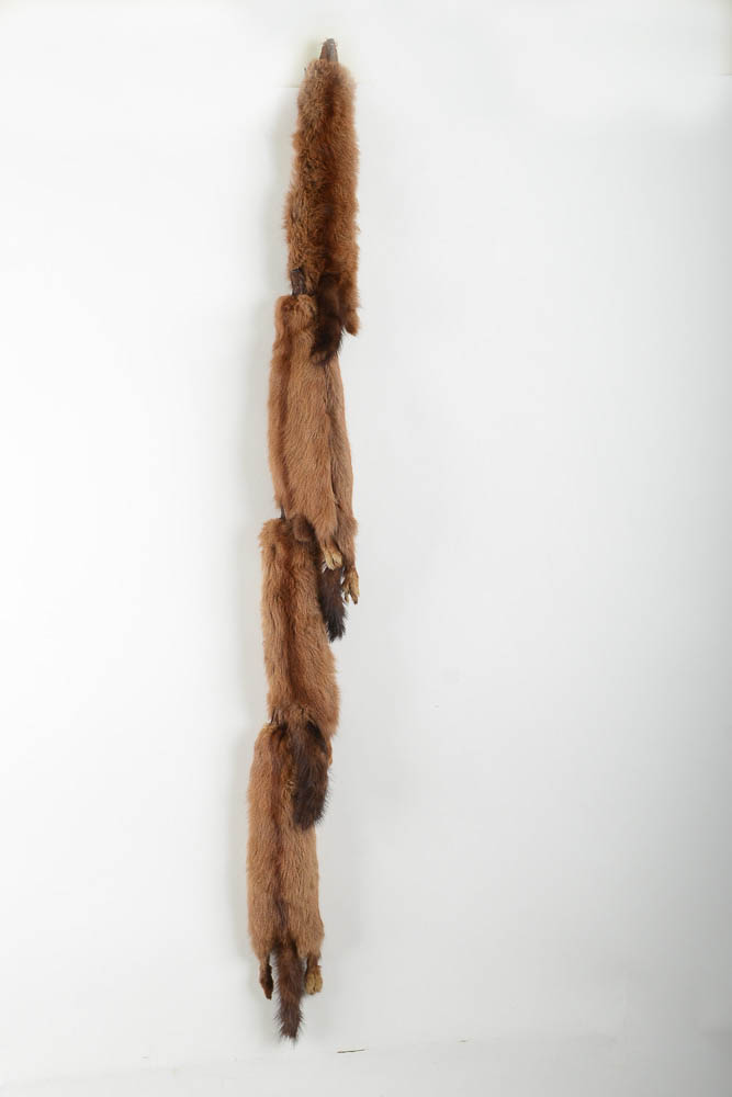 Full Body Mink Pelt Scarf