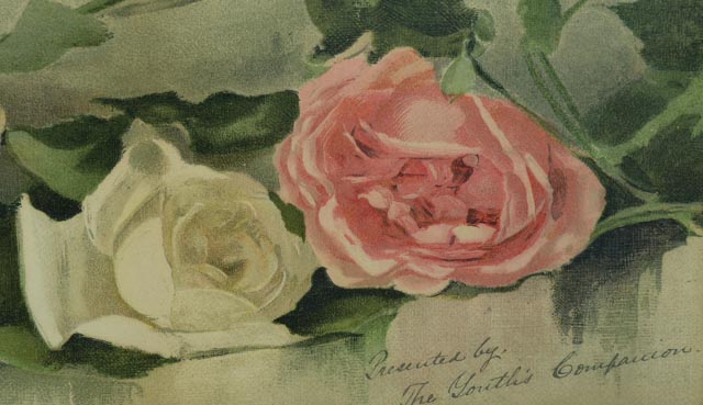 Lithograph of V. Janus Flower Painting