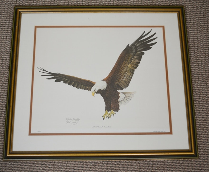 "American Eagle" Print by Charles Spaulding