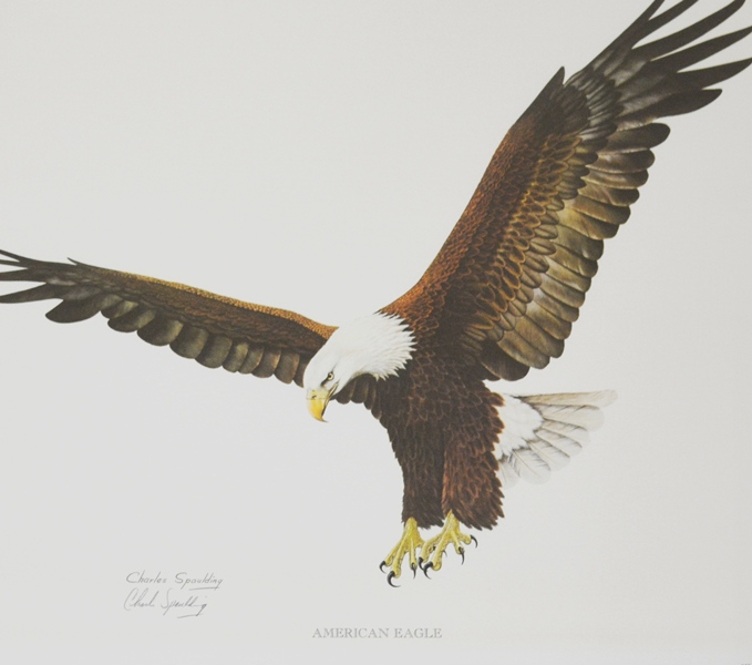 "American Eagle" Print by Charles Spaulding