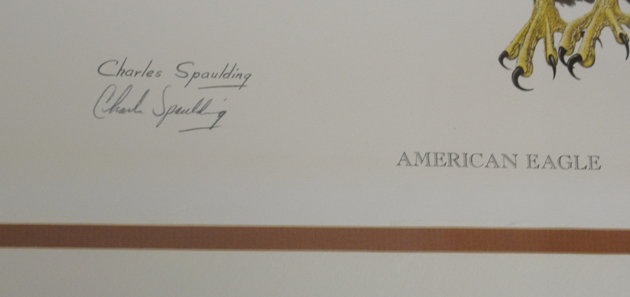 "American Eagle" Print by Charles Spaulding