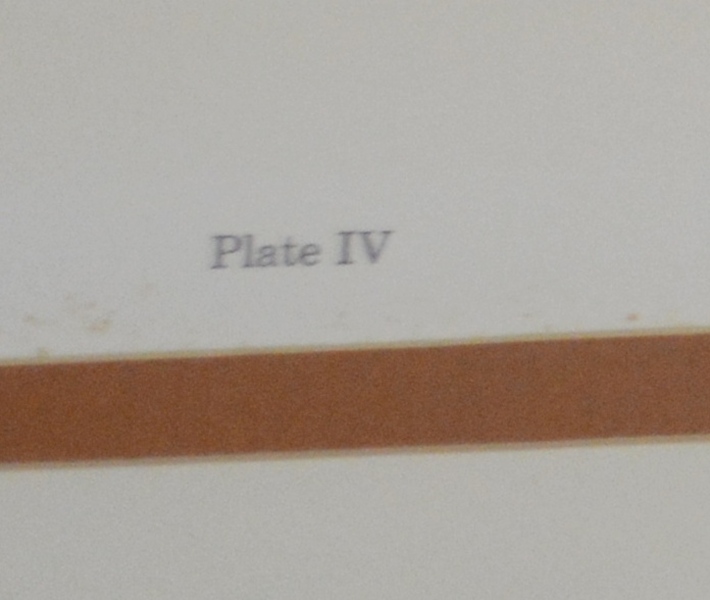 "American Eagle" Print by Charles Spaulding