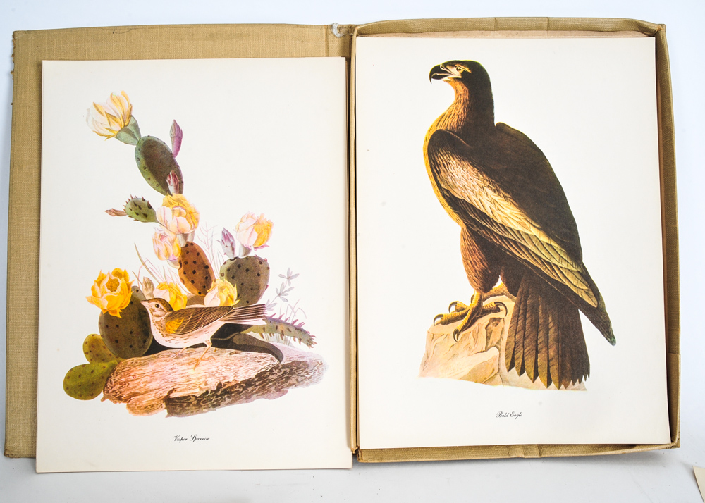 "Audubon" Publication