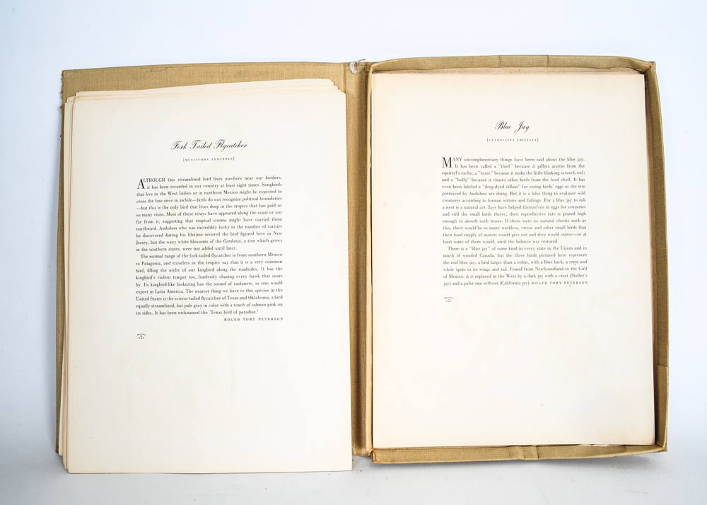 "Audubon" Publication