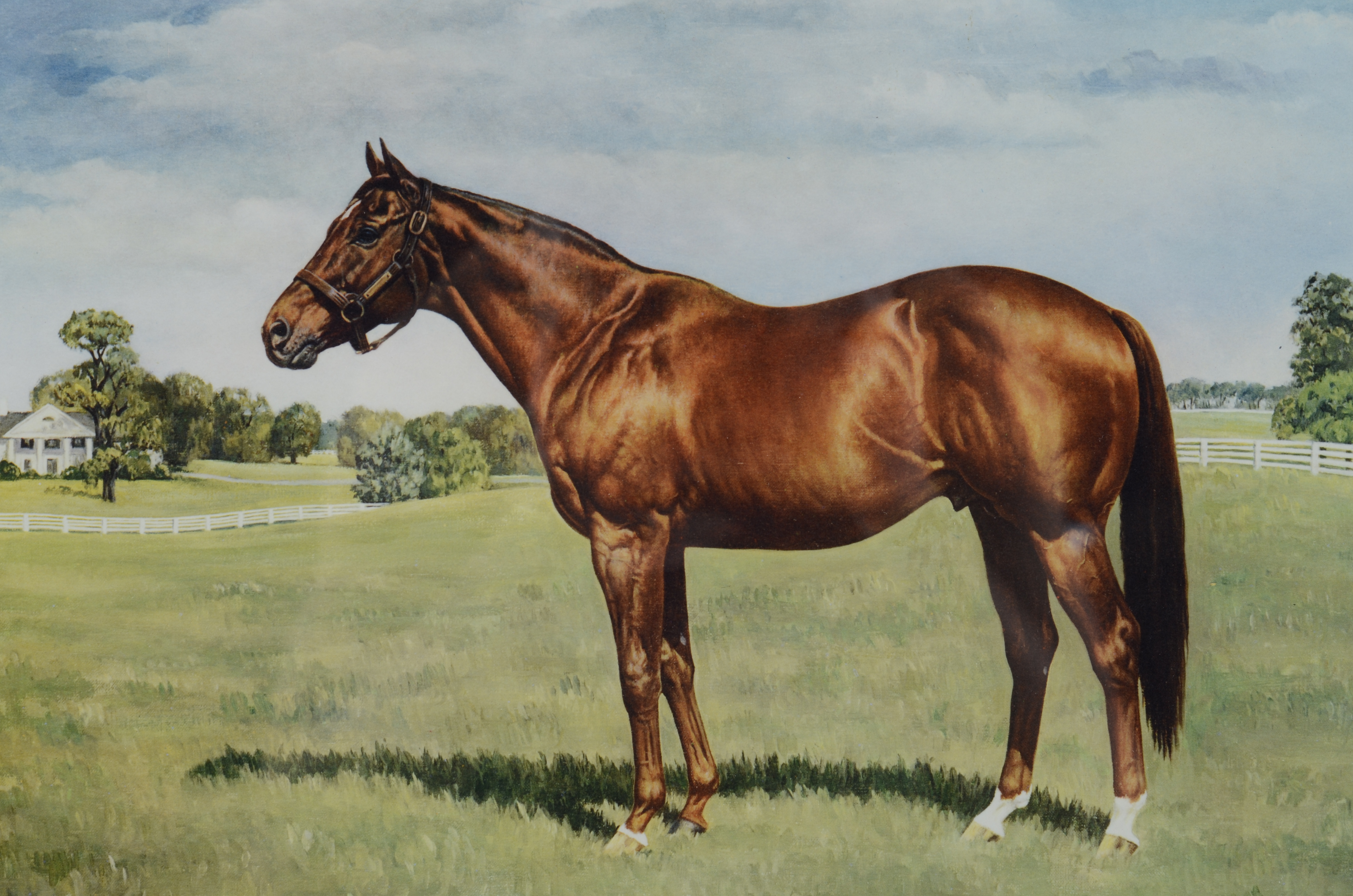 "Royal Charger" James N. Slick Lithograph