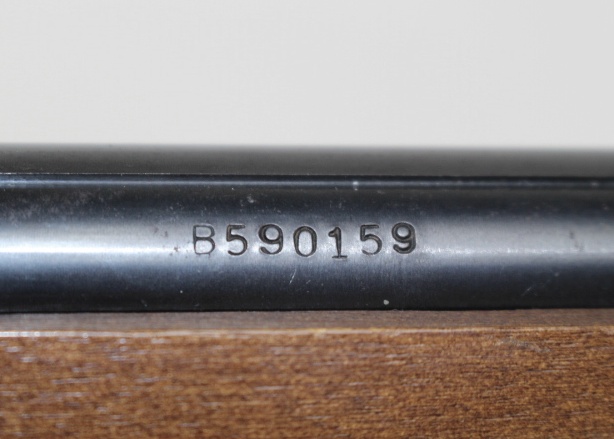 Savage Model Springfield 187 .22 Cal Semi Auto