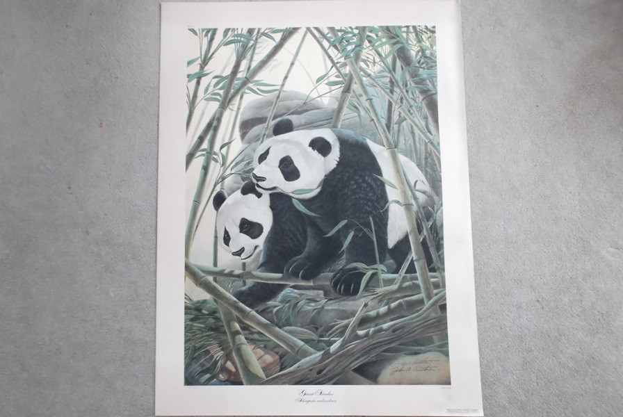 Signed 1972 John Ruthven Giant Panda Lithograph Print