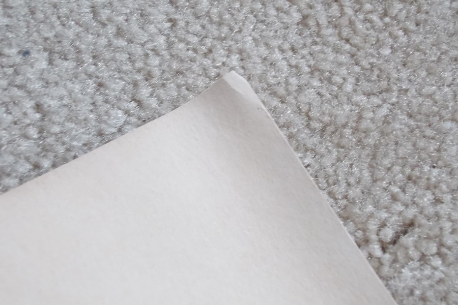 Signed 1972 John Ruthven Giant Panda Lithograph Print