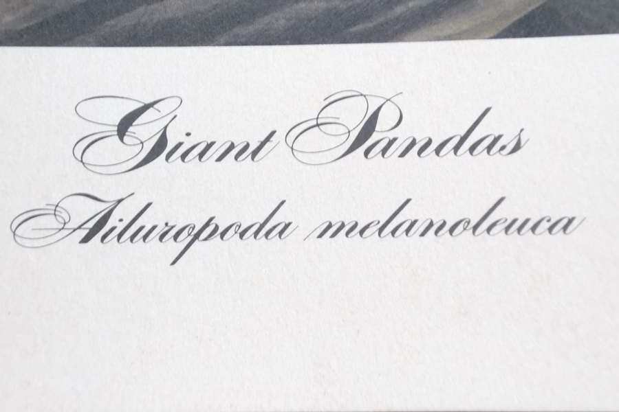 Signed 1972 John Ruthven Giant Panda Lithograph Print