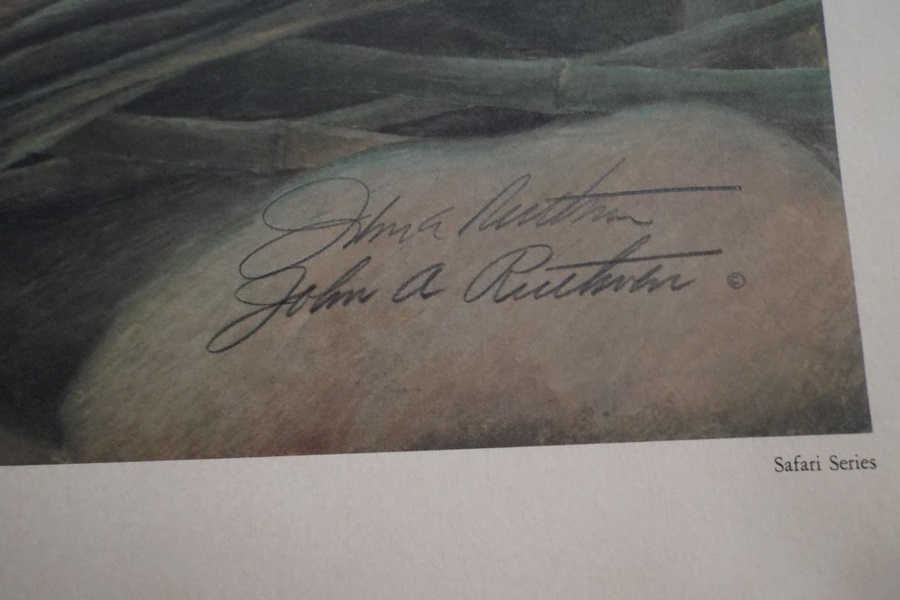 Signed 1972 John Ruthven Giant Panda Lithograph Print