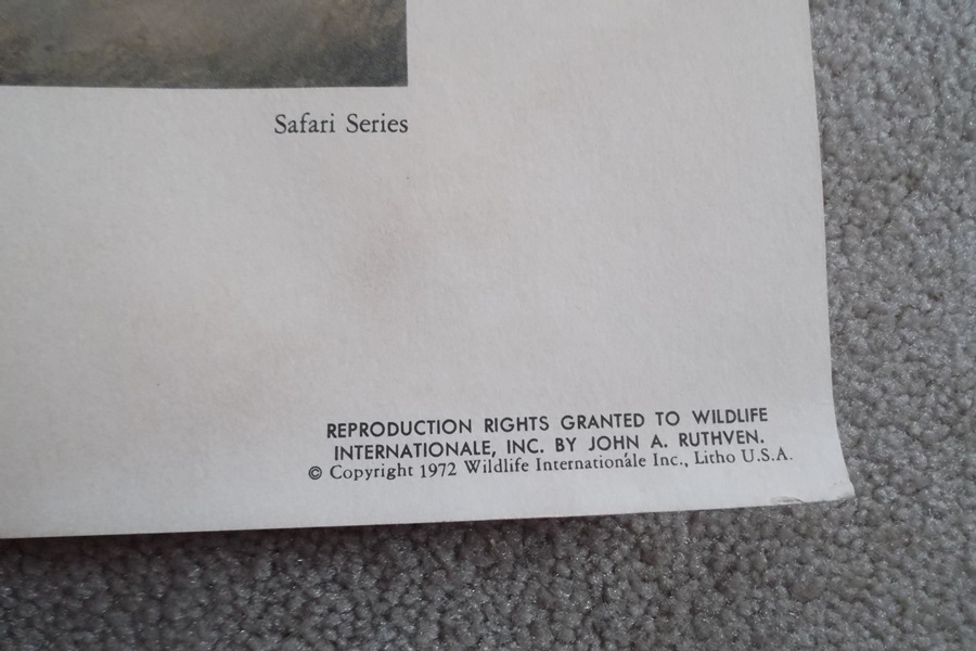 Signed 1972 John Ruthven Giant Panda Lithograph Print