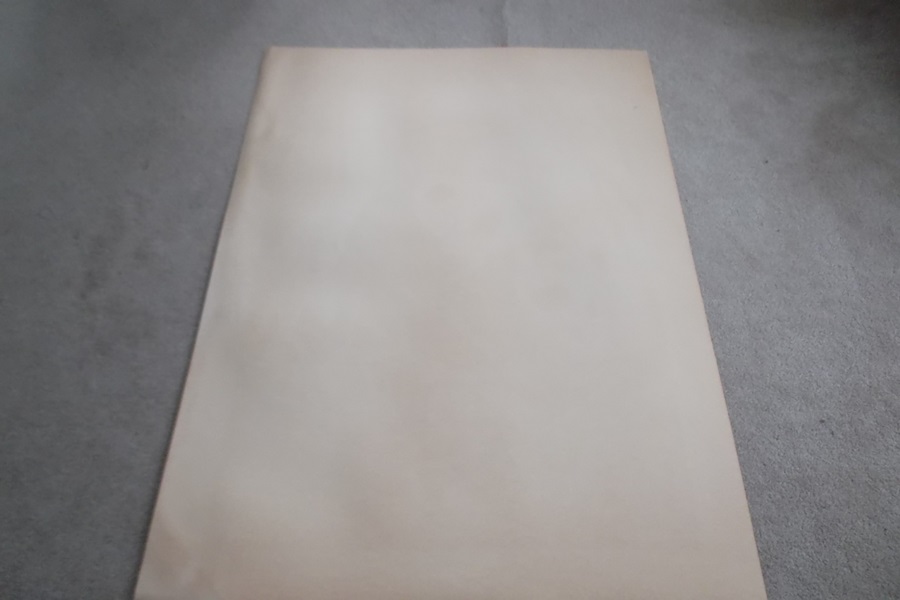 Signed 1972 John Ruthven Giant Panda Lithograph Print