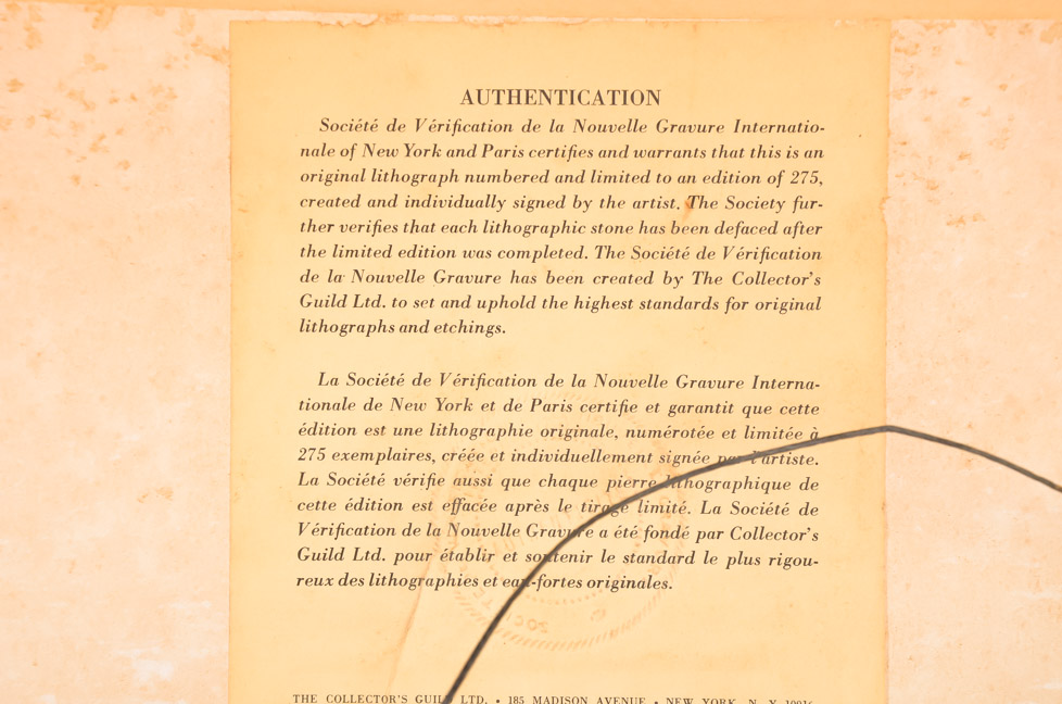 Framed Mid Century Modern Horse Print