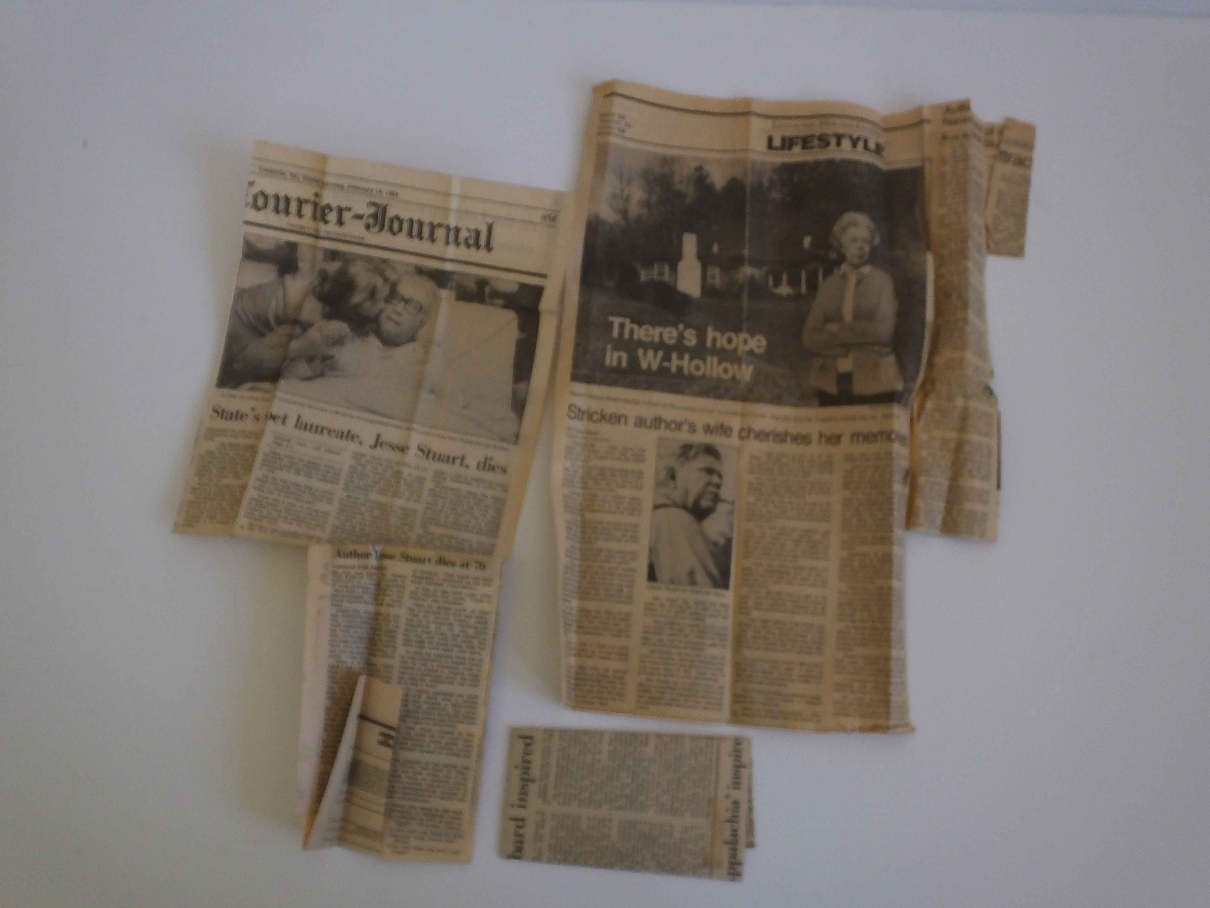 Original Oil on Canvas By Althea Sullivan