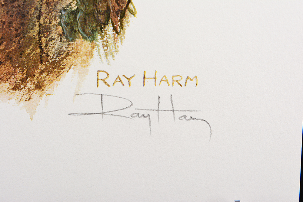 Ray Harm's "Red-Headed Woodpecker" Print