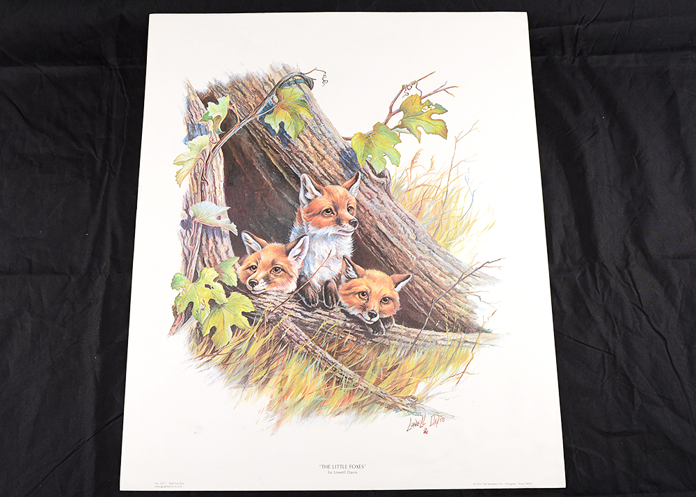 Collection of Wildlife Prints