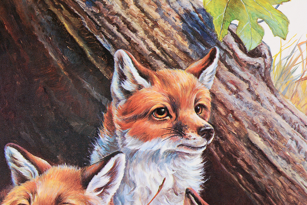 Collection of Wildlife Prints