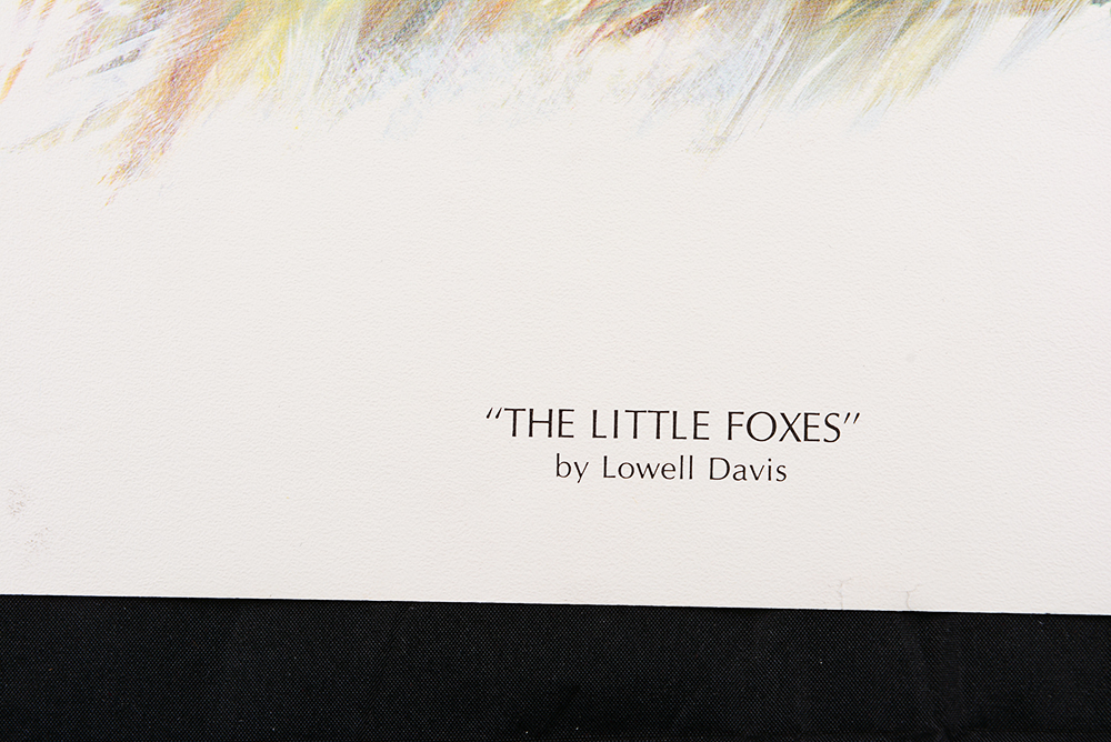 Collection of Wildlife Prints