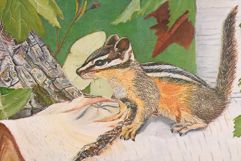 Collection of Wildlife Prints