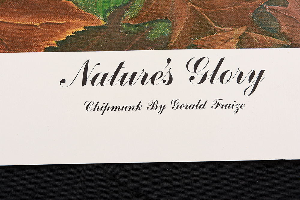 Collection of Wildlife Prints