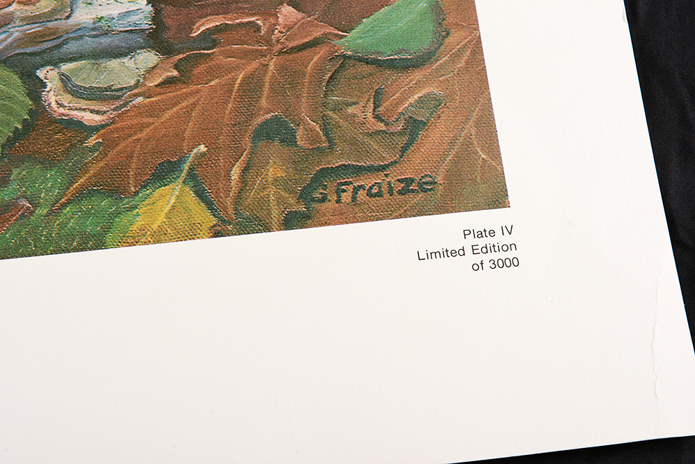 Collection of Wildlife Prints