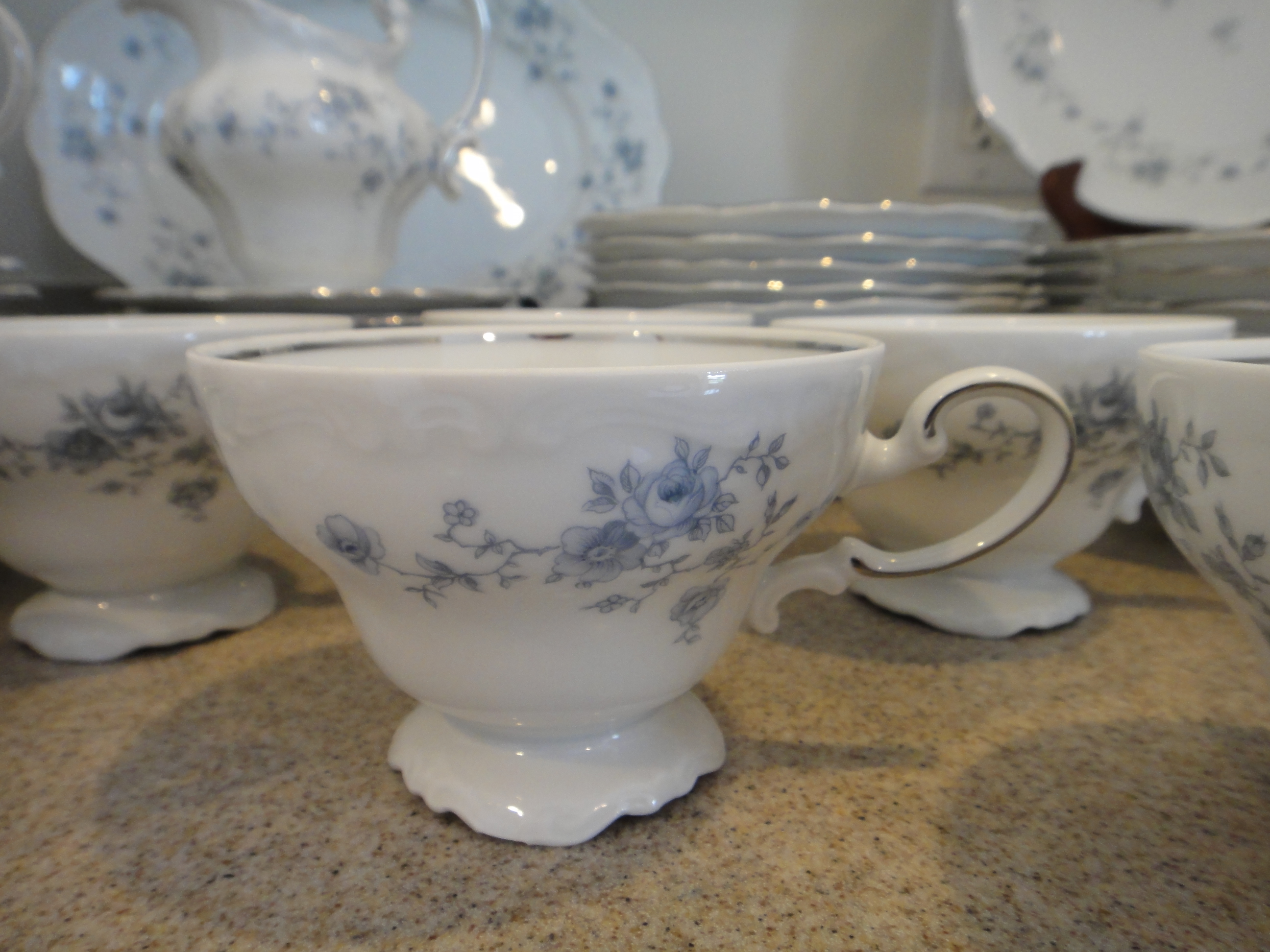 Johann Haviland Bavaria China "Blue Garland"