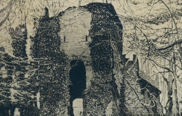 Limited Edition Signed Swan Donovan Etching