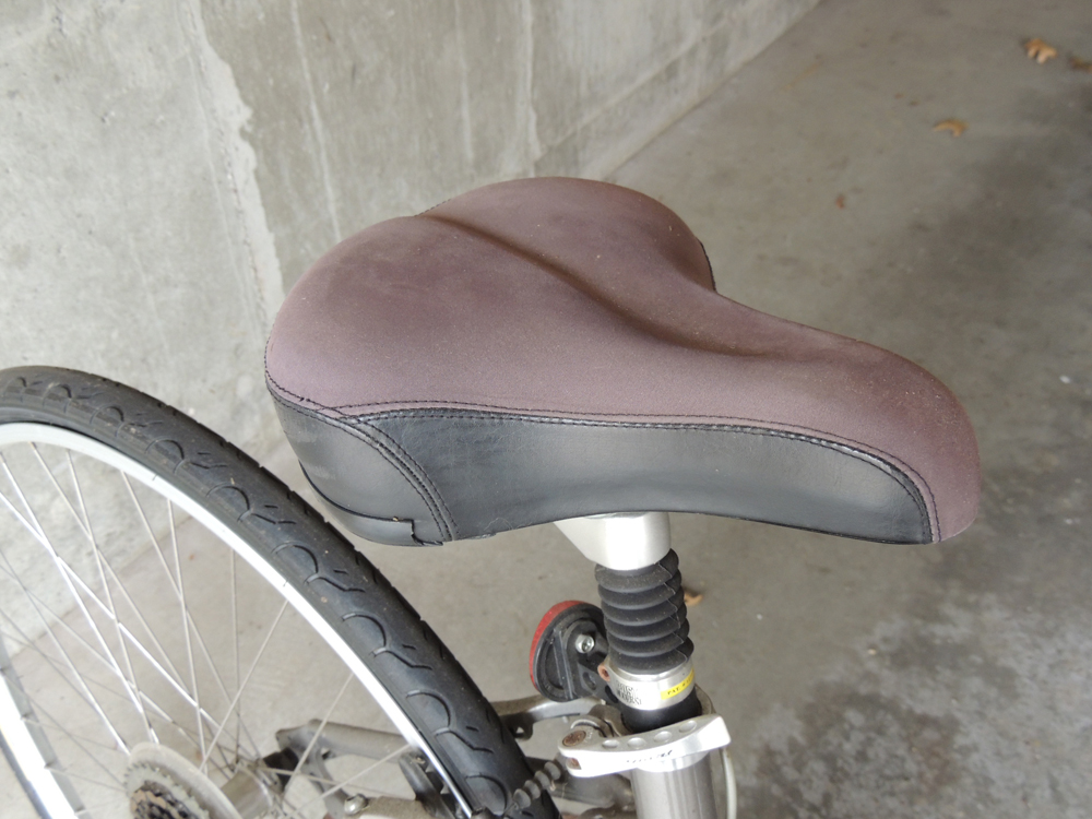 Women's Giant Cypress Bicycle