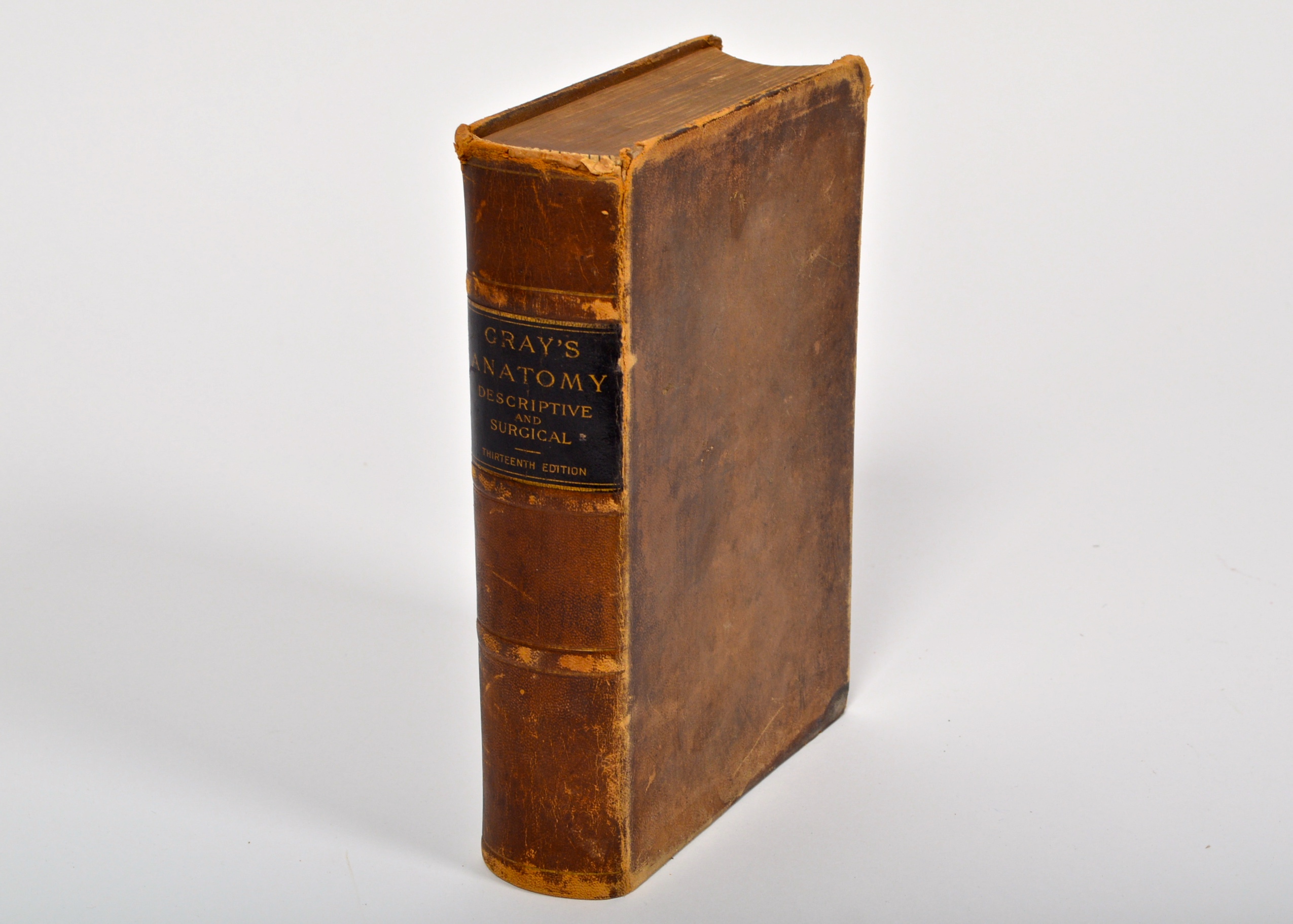 1893 Gray's "Anatomy: Descriptive and Surgical" 13th Edition