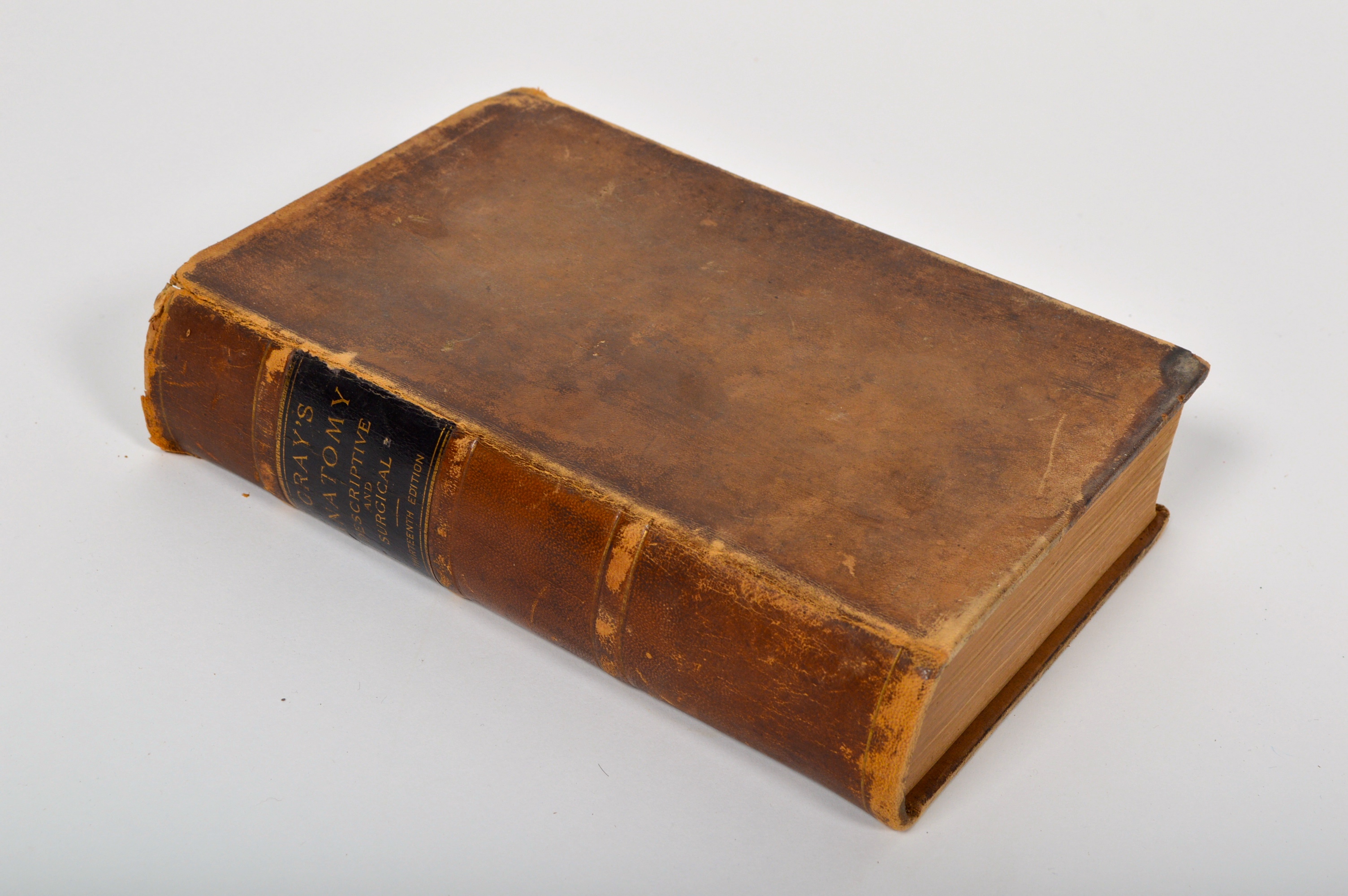 1893 Gray's "Anatomy: Descriptive and Surgical" 13th Edition