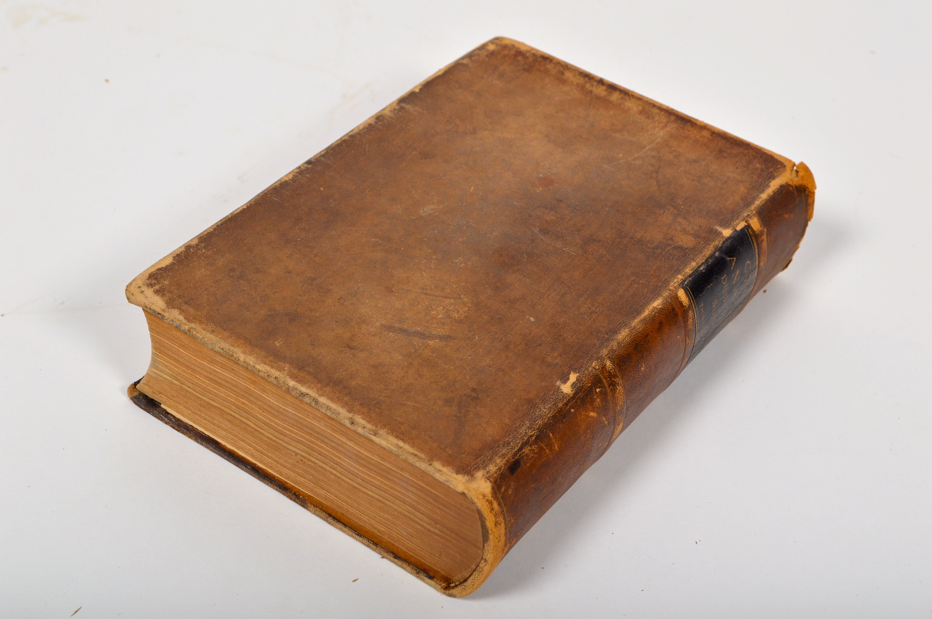 1893 Gray's "Anatomy: Descriptive and Surgical" 13th Edition