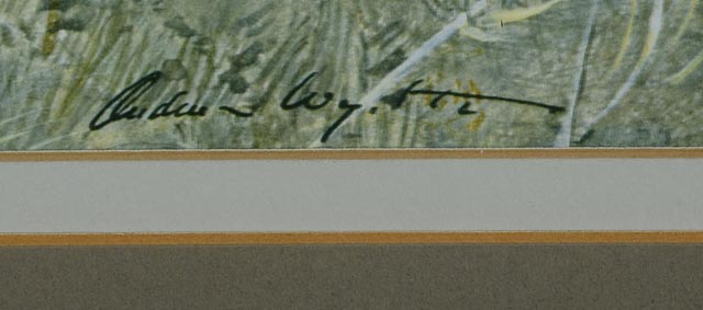 "Faraway" Andrew Wyeth Photo Offset Lithograph