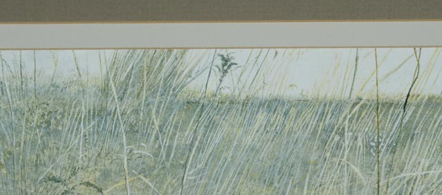 "Faraway" Andrew Wyeth Photo Offset Lithograph
