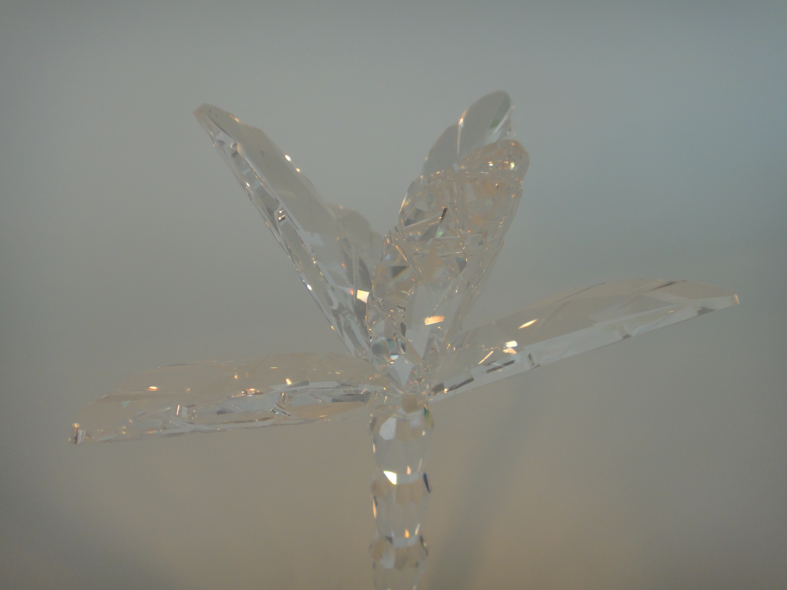 Swarovski Crystal Palm Tree #679870