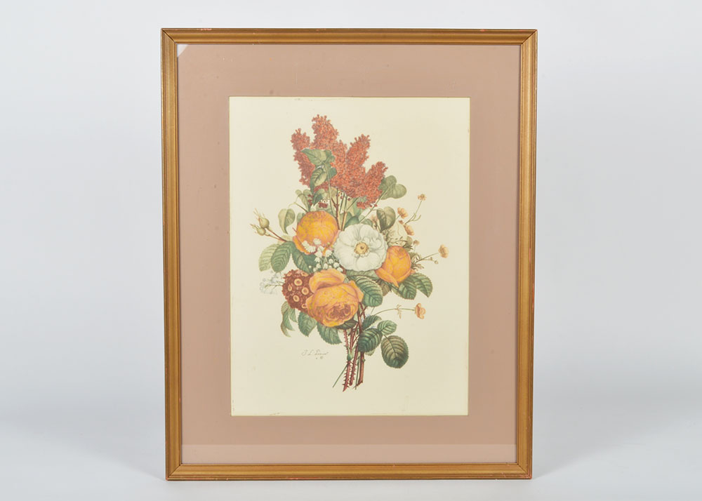 Framed J. L. Prevost Botanical Print