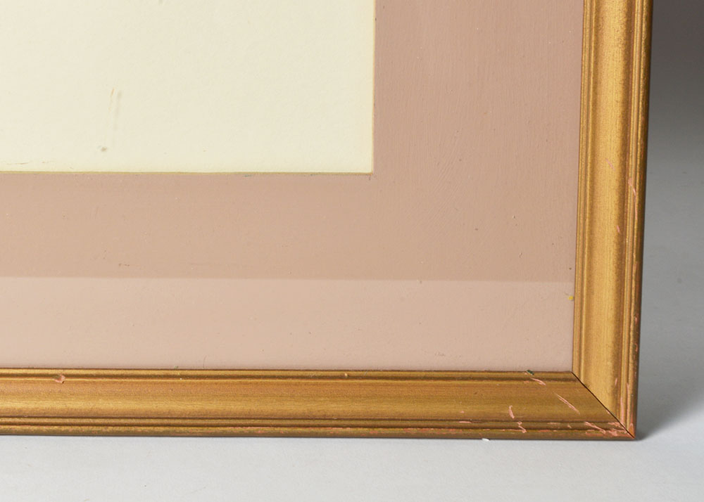 Framed J. L. Prevost Botanical Print