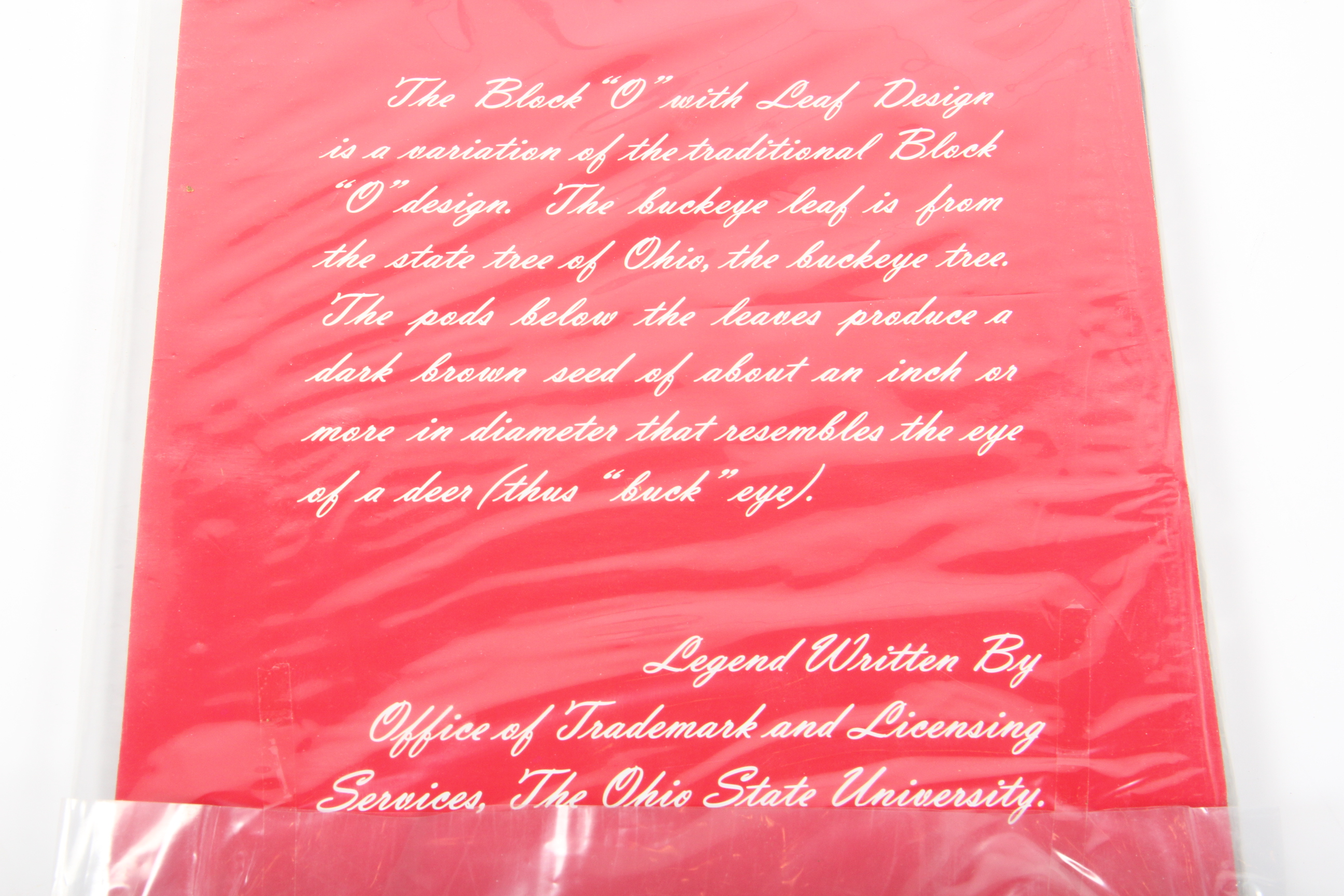 Ohio State University Stained Glass Panel