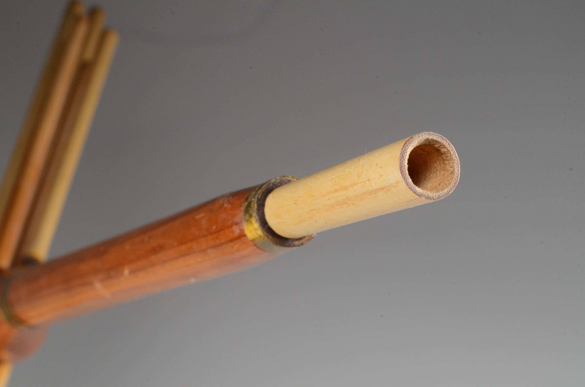 A Contemporary Lusheng